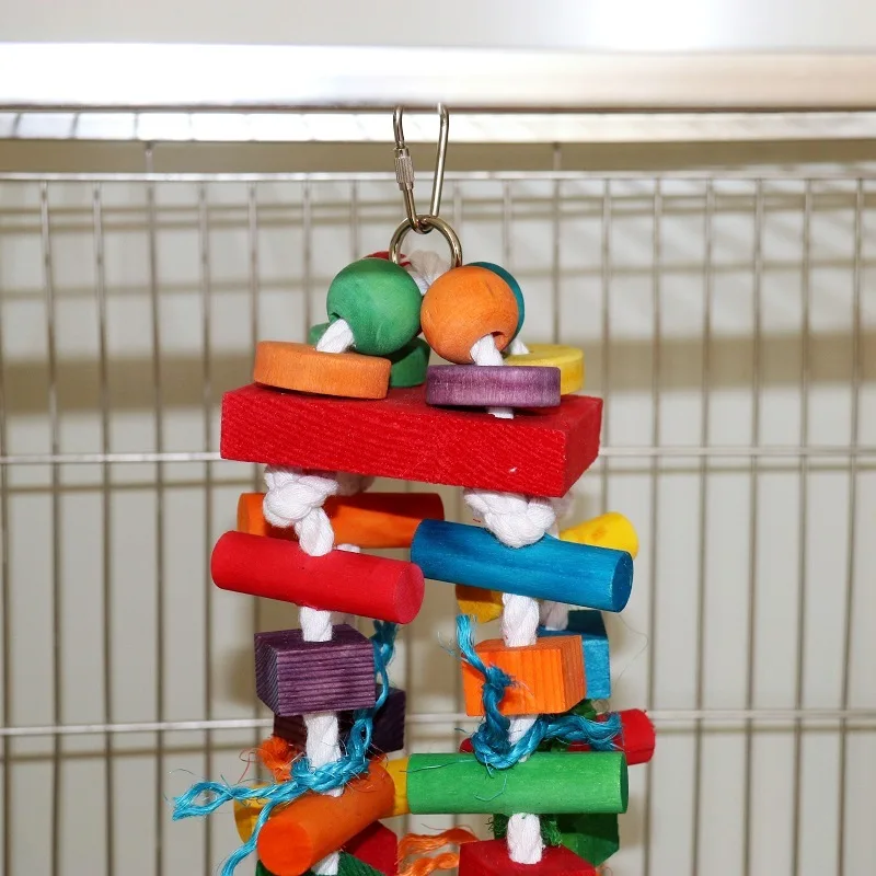 Parrot Colorful bite toys 2