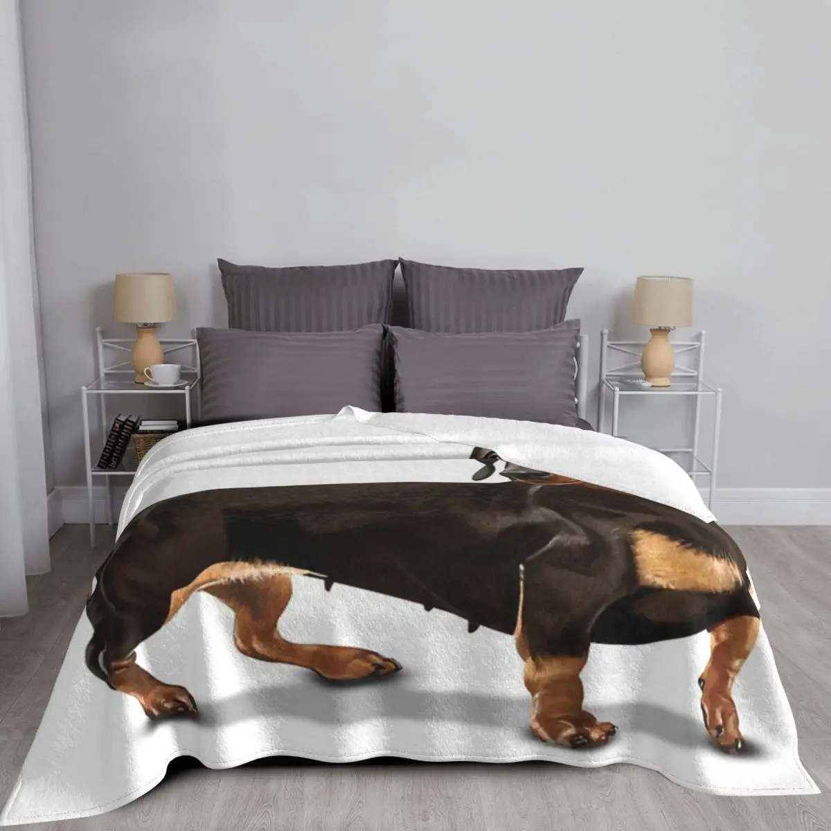 �ູ�� �ڽ� ��Ʈ ħ�� Ŀ��, �÷��� ħ�� Ŀ�� ����  ���