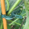 10/100pcs Plant Fixed Clips Reusable Garden Greenhouse Bracket Garden Plants Vine Climbing Clamp Flower Tomato Support Fastener 2