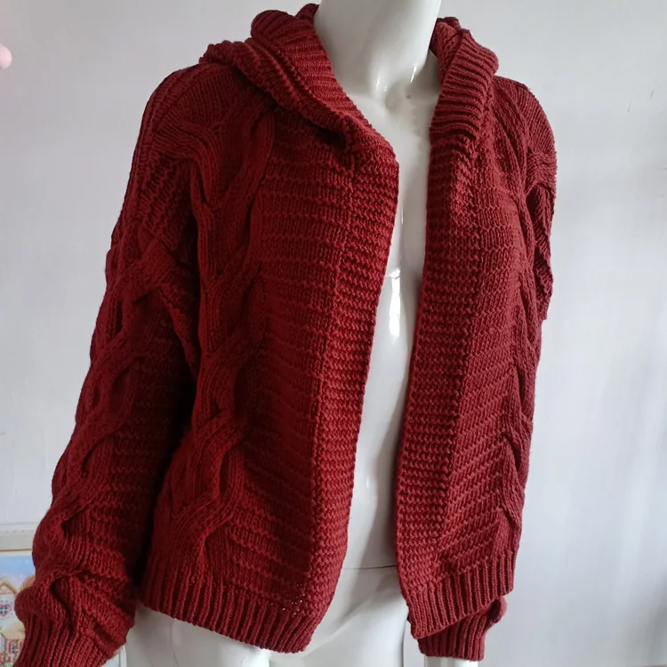 sweater hoodie 2021cardigan Women's Autumn Winter New Sweater Women's Knitting Coat Multicolor Women's Top ladies sweater