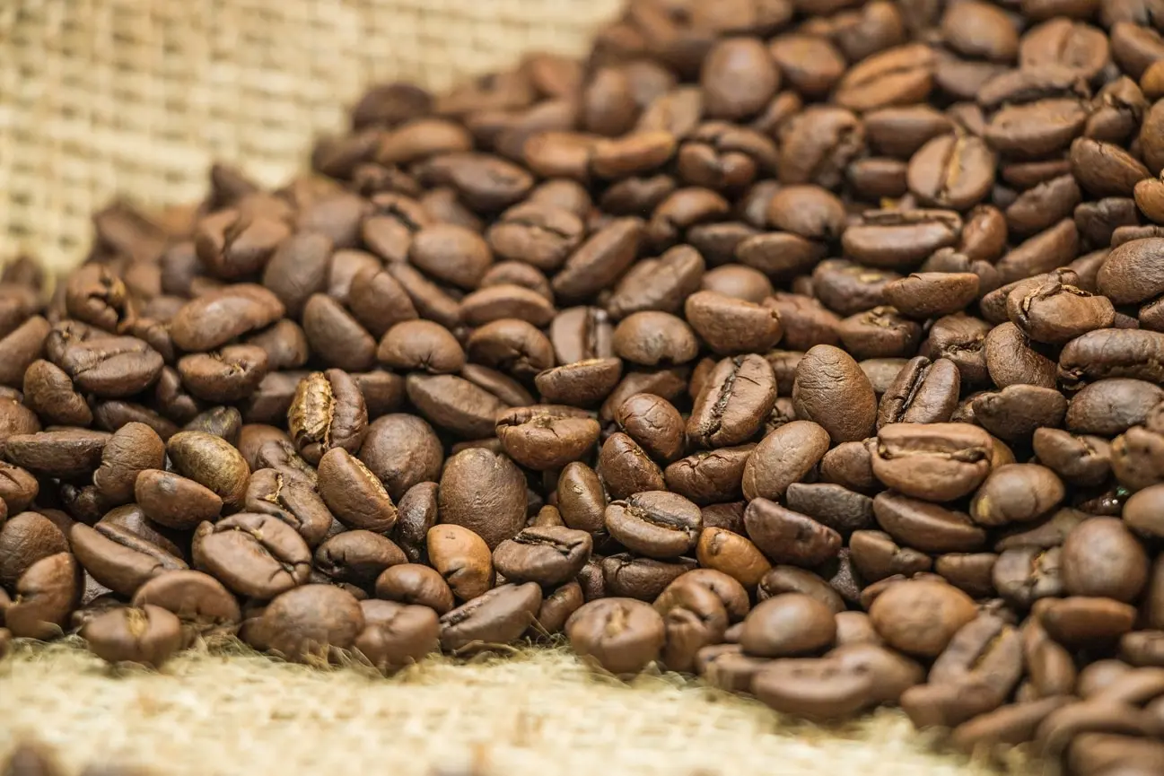 Рисунок 3 - Кофе в зернах Экстра Бар WEISERHOUSE