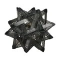 SWS black