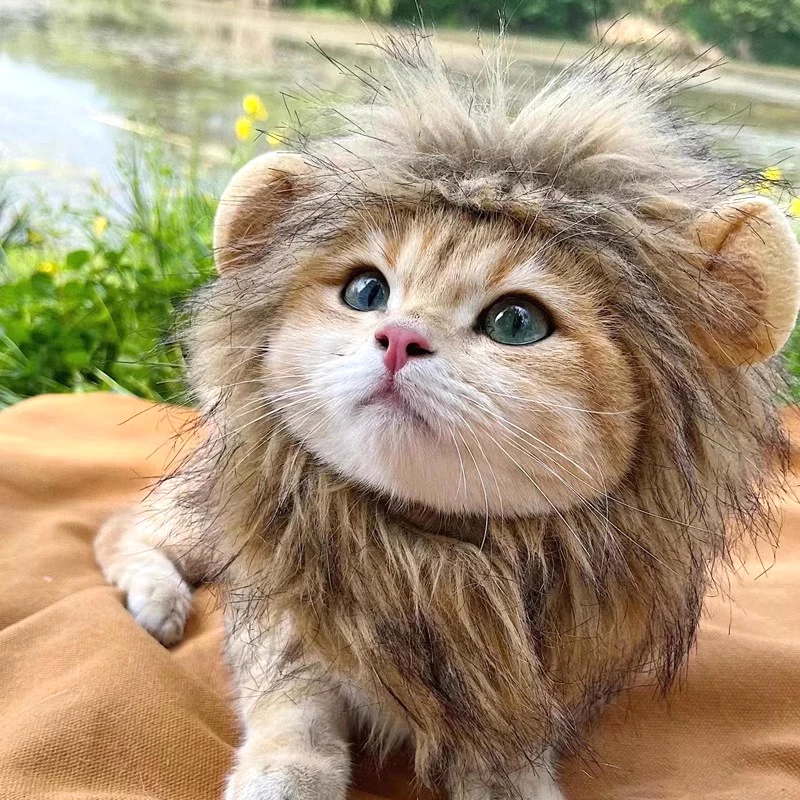 Pet Costume for Dog Cat Cute Lion Mane Wig Hat Cosplay Clothes Holidays Decoration Dress Up Halloween Christmas Pet Supplies