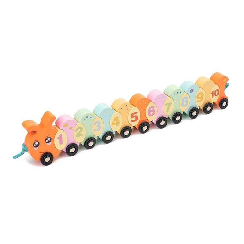 

Toddler Pull Along Toy Stringing Toy Kids Fine Motor Skills Toy