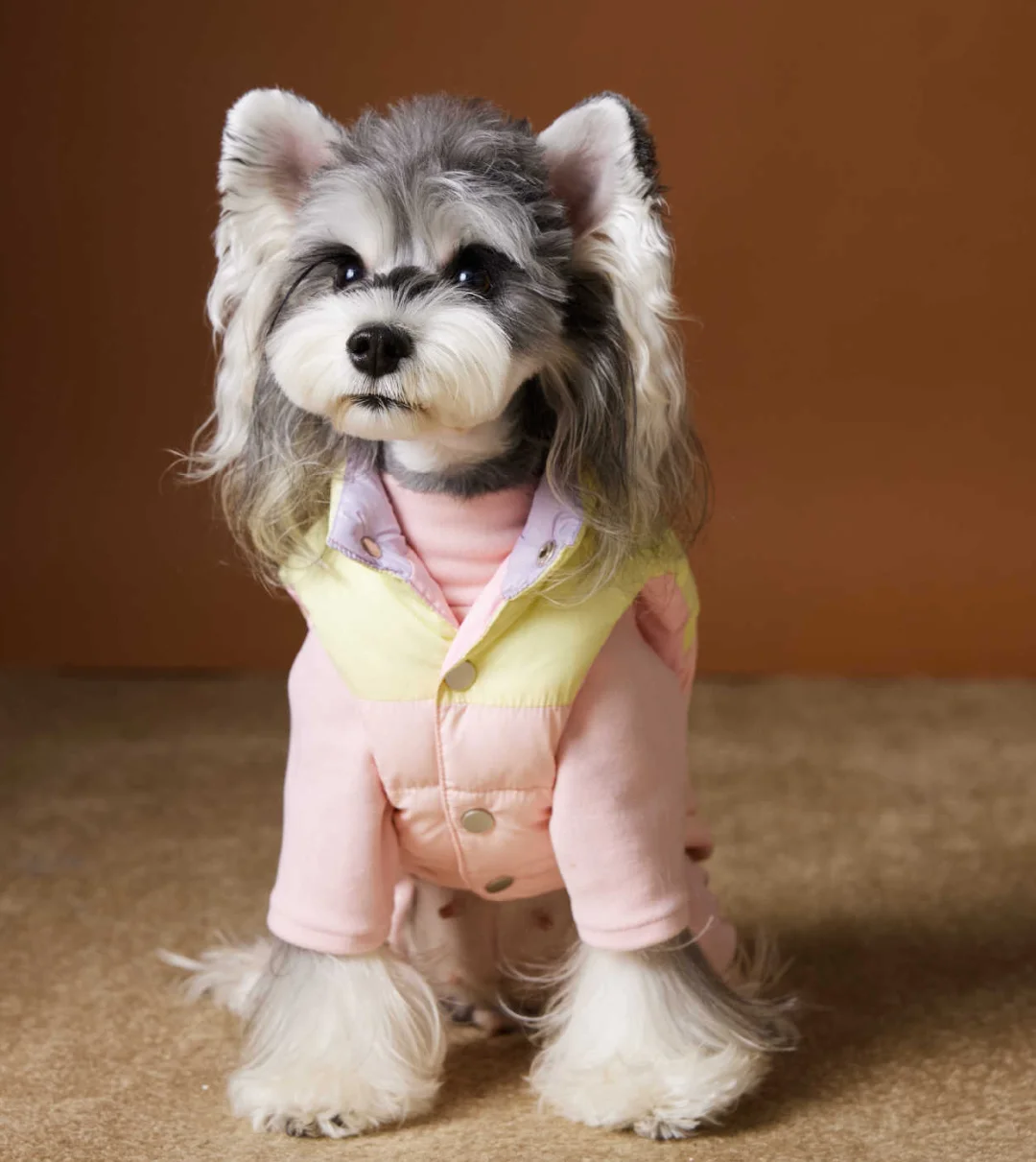 Padded Puppy Cat Clothes Winter Dog Jacket For Small Dogs Chihuahua Vest French Bulldog Coat Yorkie Outfits
