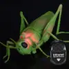 RC Grasshopper Toy Remote Control Animal Toy for Kids 6 And Up Children 4