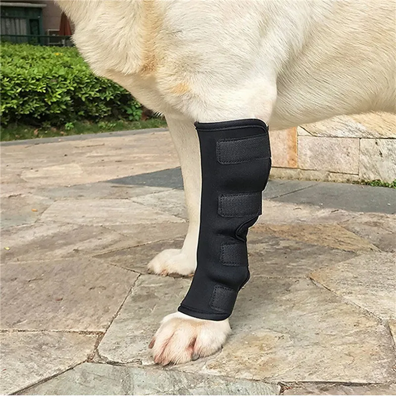 1Pair Pet Protectors Dog Support Brace For Leg Protectors Instep Leg Thai Boxing Pet pet leg protector