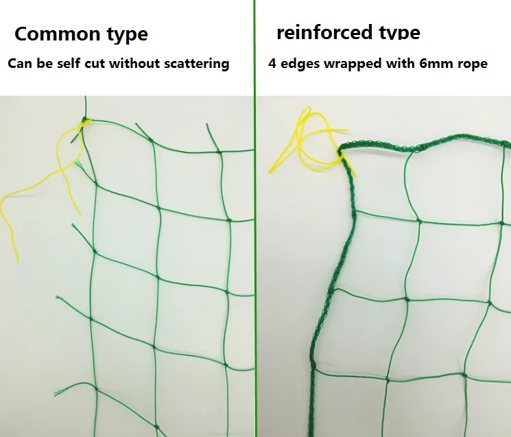 Description Picture 3 of itemNylon Garden Netting Plants Support Net Morning Glory for Vegetable Flower Holder Cucumber Trellis 18 Strand Multiple Size