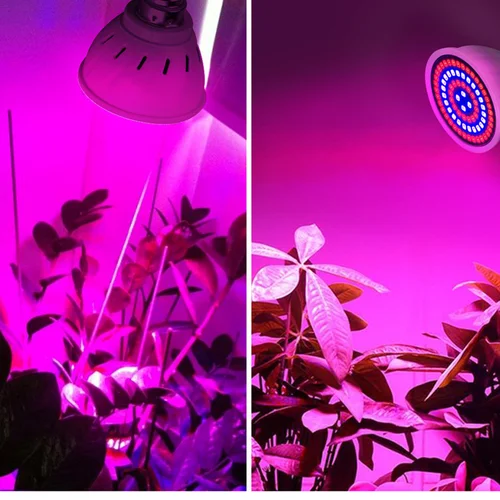 LED 성장 풀 스펙트럼 전구 E27 E14 GU10 MR16 220V, 온실 수경 램프 성장 조명, 실내 식물 식물 꽃 램프 3