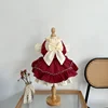Cat Skirt Bow Princess Skirt Pet Lolita Dress Teddy Bichon Yorkshire Terrier Dog Skirt 2