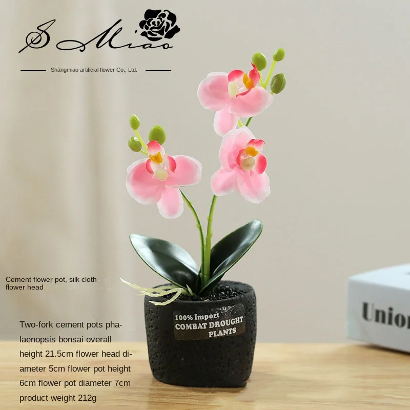 New Two-pronged Cement Pot Phalaenopsis Bonsai Creative Artificial Ornaments Simulation Flower Factory Direct Supply