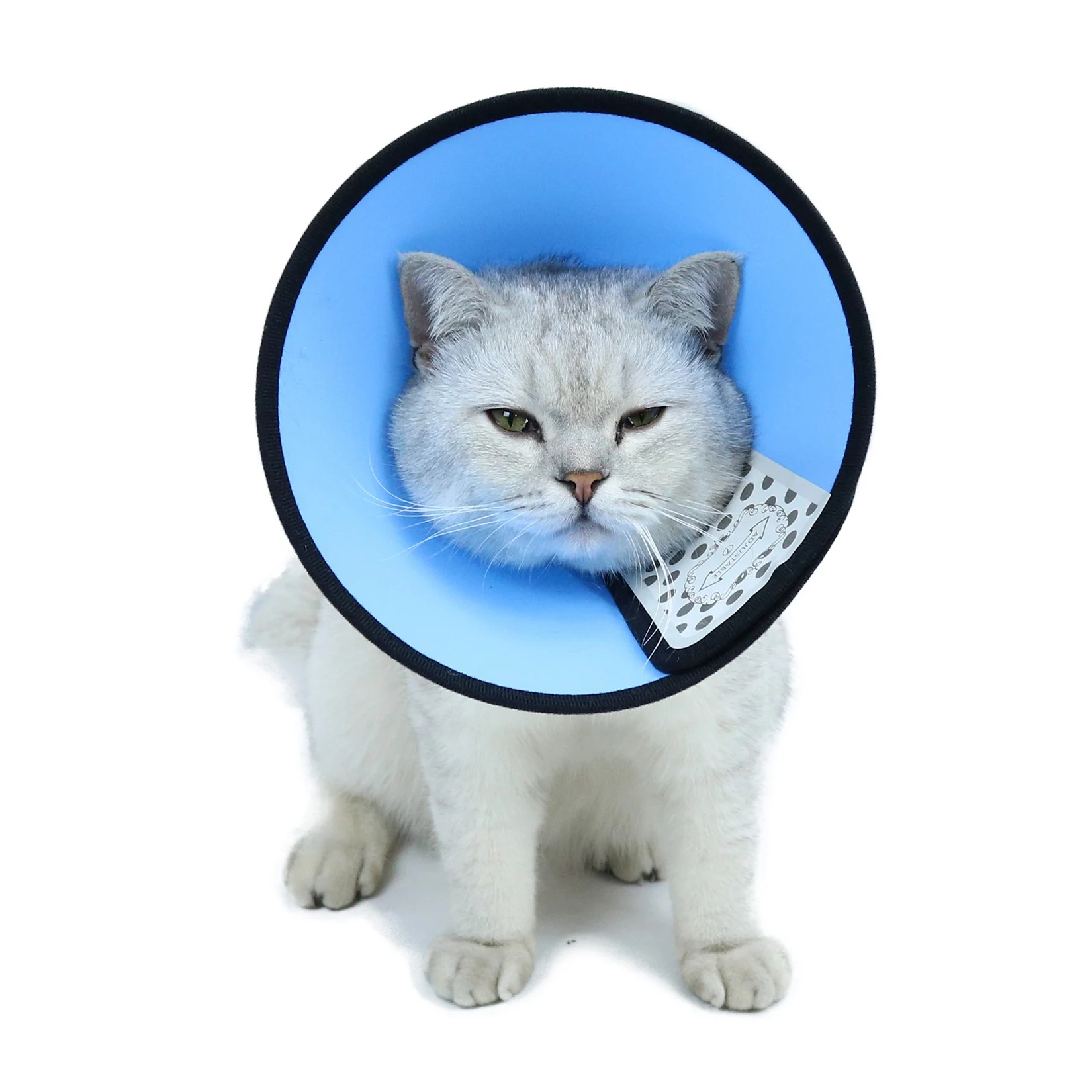 Dog Cat Recovery Collars Elizabethan Collar Wound Healing Collar Cone