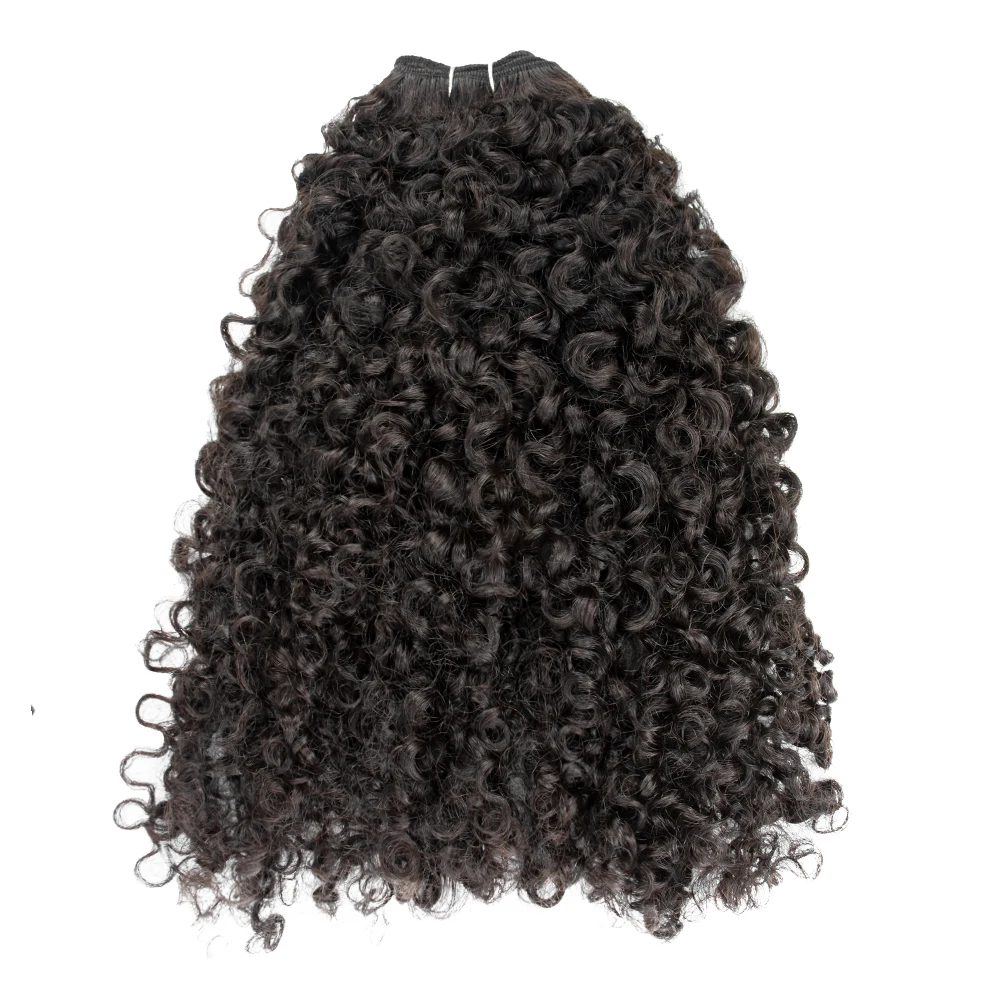 Burmese Curly Hair Bundles Kinky Curly Human Hair Extensions Raw Indian Double Weft 1/3/Pcs Bundles Full End human hair extensions,human hair bundles,human hair bulk