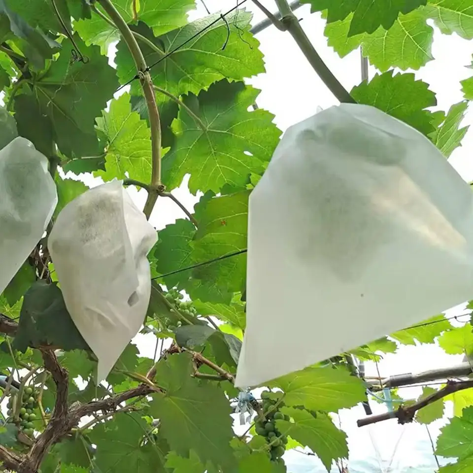 Bolsas Protectoras Para Frutas - Pack De 50 Unidades (200x300mm) - Evita Pájaros Y Heladas