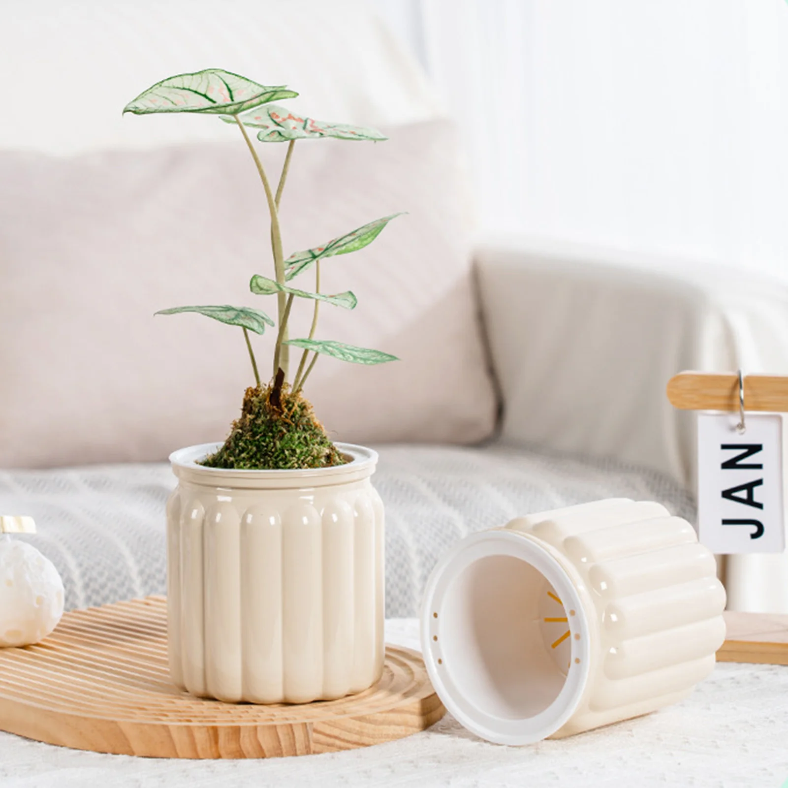 Self Watering Flower Planter 5