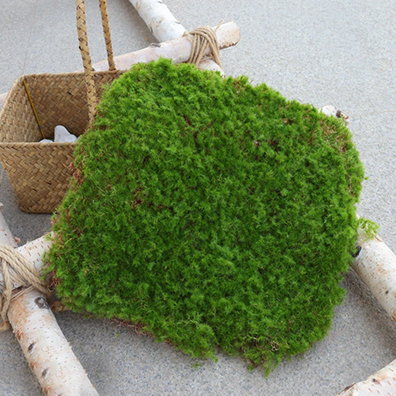 

Artificial Simulation Moss Grass Turf Mat Wall Green Plants DIY Home Lawn Green Grass Mat Mini Garden Micro Landscape Decoration