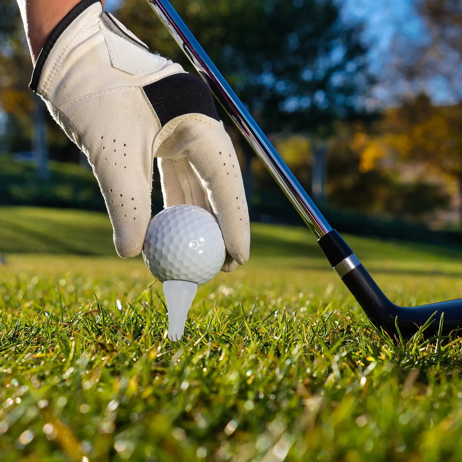 Slide image 3037d66a82814fe38faf631736f1d0f4