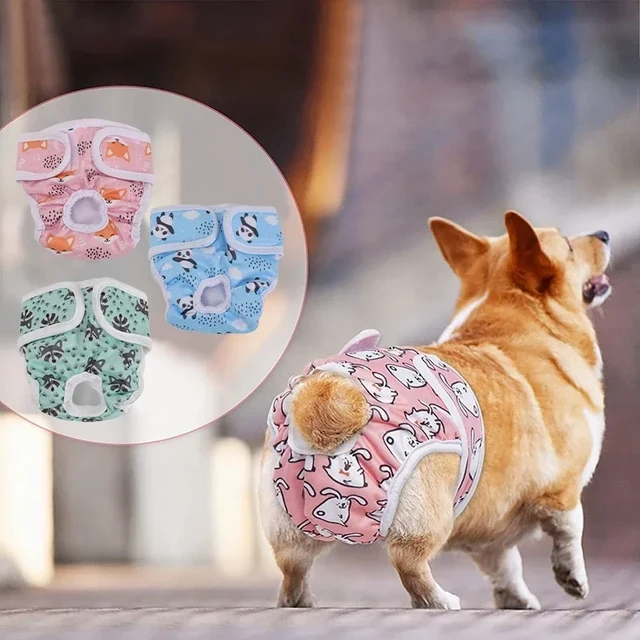 Dog Diapers Physiological Pant Puppy Women's Panties Shorts Underwear  Washable Female Dog Diper Panties Pet Dog Cat Clothes - AliExpress