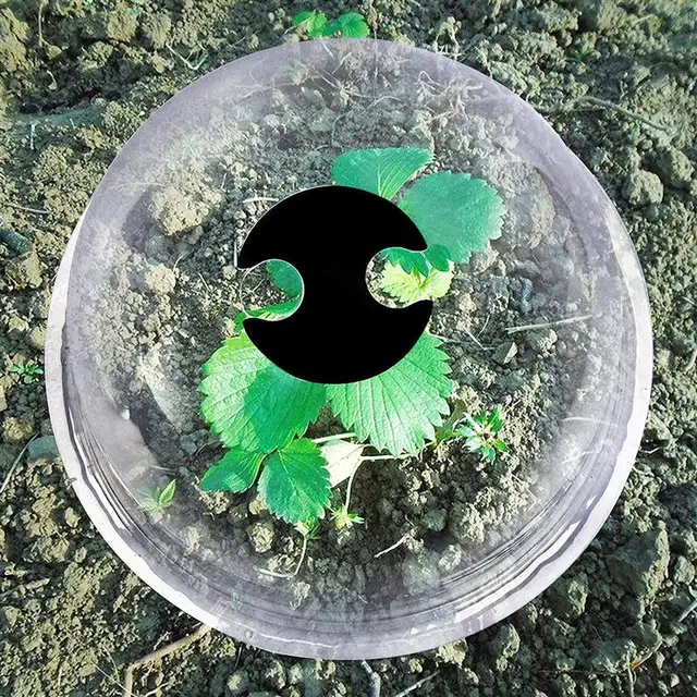 6Db Cloches Kerti Óvoda Csengő Kupola Borító Növényvédő Burkolat Tiszta Pvc 18 Földi Körömmel És 10 Címkével - Image 5
