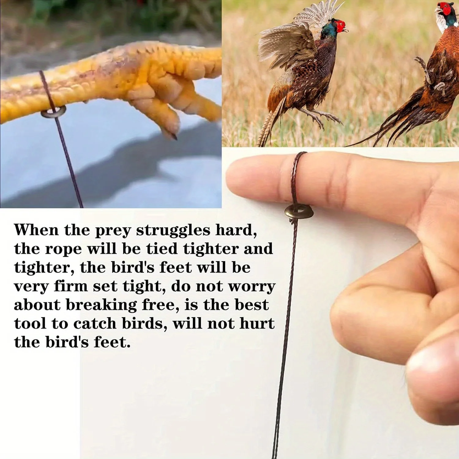 Bird Trap Professional Chicken Pheasant Wild Duck Partridge Mallard Tying Birds feet Won't Hurt