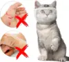 TONG New Cat Anti Bite Muzzles Breathable Transparent Cat Helmet Adjustable Kitten Mask for Nail Trimming Grooming 5