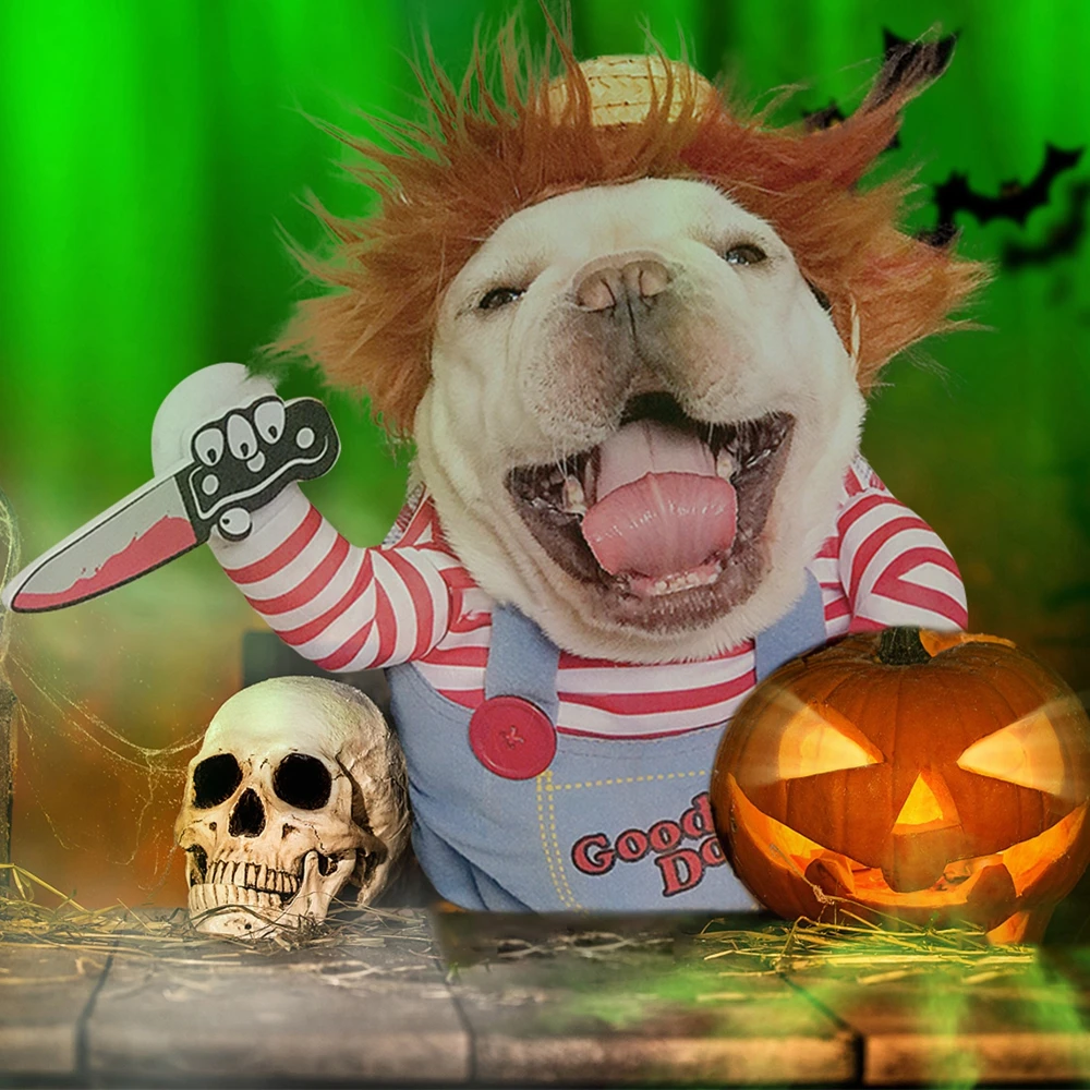 Conjunto de disfraz de poliéster para perro y gato, ropa de Halloween, disfraz de Samurai erguido, accesorios para gatos y perros - AliExpress