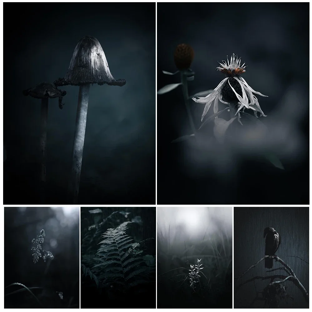 

Winter Crows And Owls In The Eerie Forest Vintage Photography Wall Art Print Gothic Dark Aesthetic Photos Art Poster Print Decor