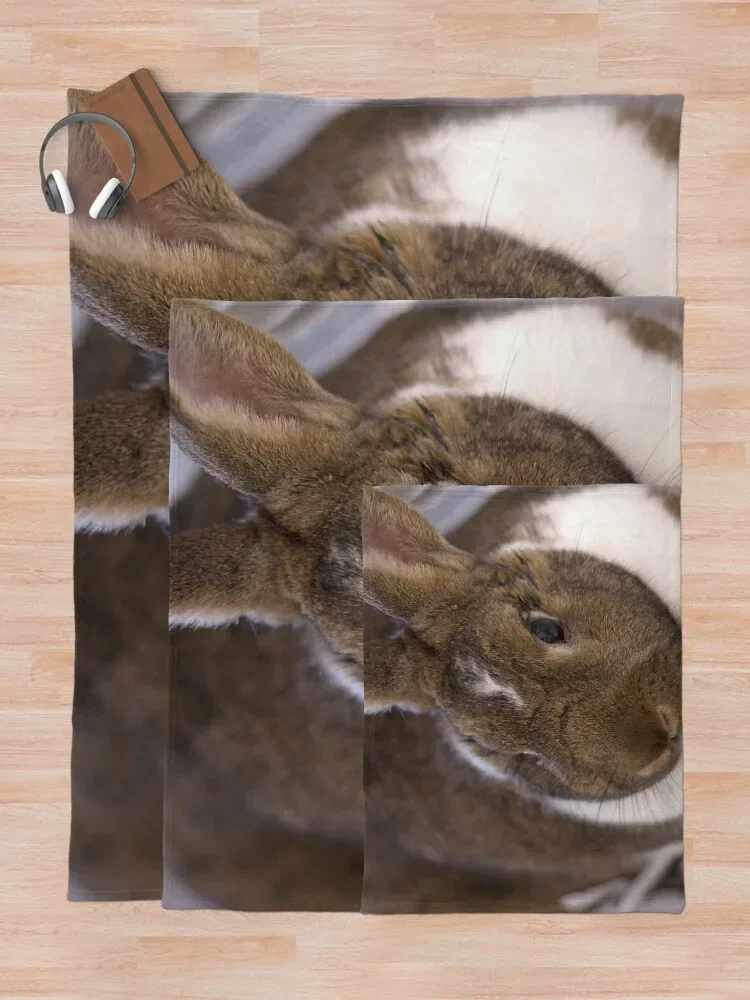 ū �䳢�� ����� ������ ��� ħ��, �ܿ� ħ��� ���� �ε巯�� �÷��� ���� ���� ���