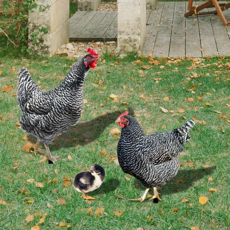 Chicken Garden Stake Decorative Garden Stakes Chicken 3X Weather-Resistant Iron Hen Chicks Spikes For Landscape Easter Kitchen