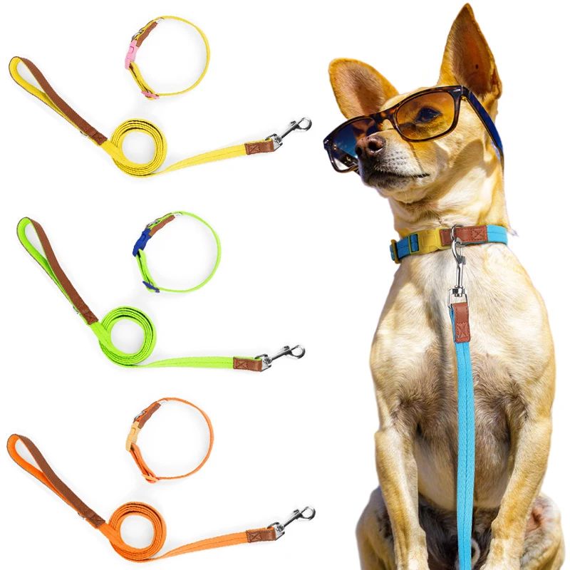 

Pet Adjustable Collars and Leashes for Small Medium Dog Leash Dogs Outdoor Training Walking Collars Set Chihuahua Teddy Supplies