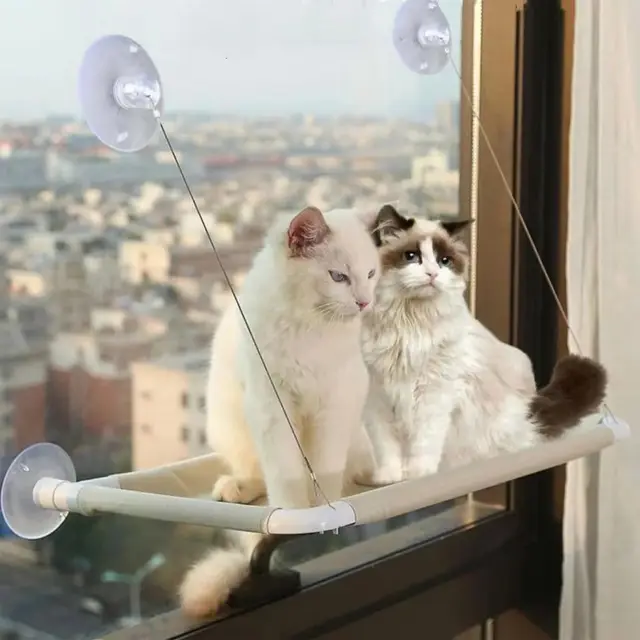 Cat Window Hammock Hanging Cat Bed Bearing Cat Sunny Window Seat for Indoor Cats Sleeping Space Saving Window Mounted Cat Bed Cat Window Hammock Hanging Cat Bed Bearing Cat Sunny Window Seat for Indoor Cats Sleeping Space Saving Window Mounted Cat Bed