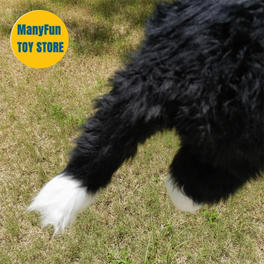 Sf40dd5ed39b243289def8166c659b32dp - Border Collie Gifts