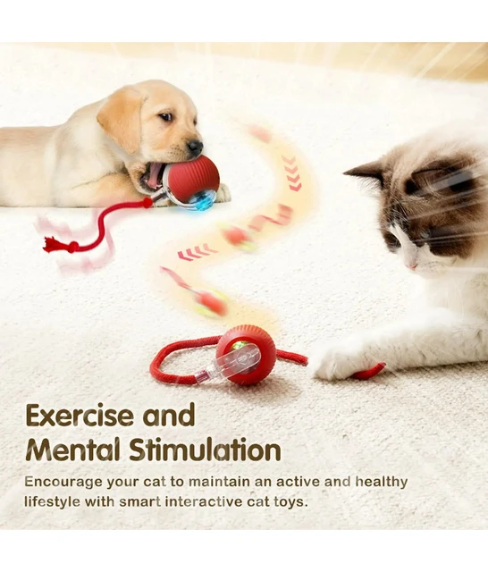 Cat Interactive Ball Toy, Automatic Rolling Ball with Tail, Rechargeable Smart Pet Interactive Toy, Intelligent Mouse for Cat 6