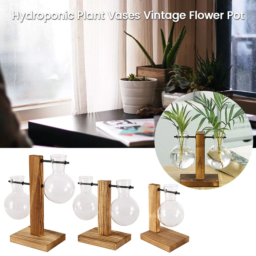Glass Desktop Planter with Wooden Stand for Home Decor