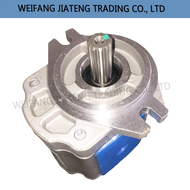 Gruppo Pompa Ad Ingranaggi Muslimex Per Trattori Agricoli Foton Lovol Per Macchine Agricole