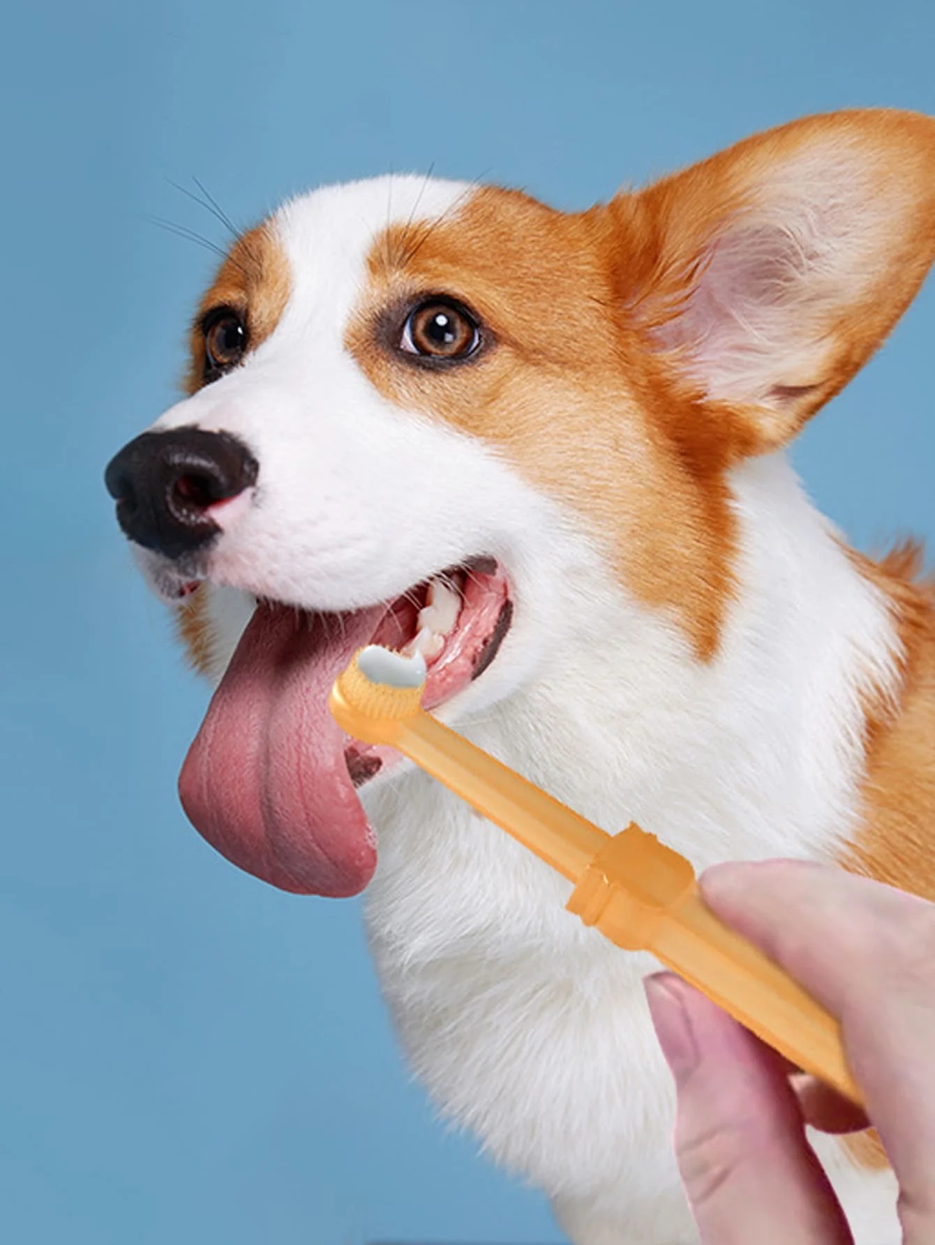 Pet Toothbrush Kit with Storage Box, Soft Silicone Tongue Cleaner