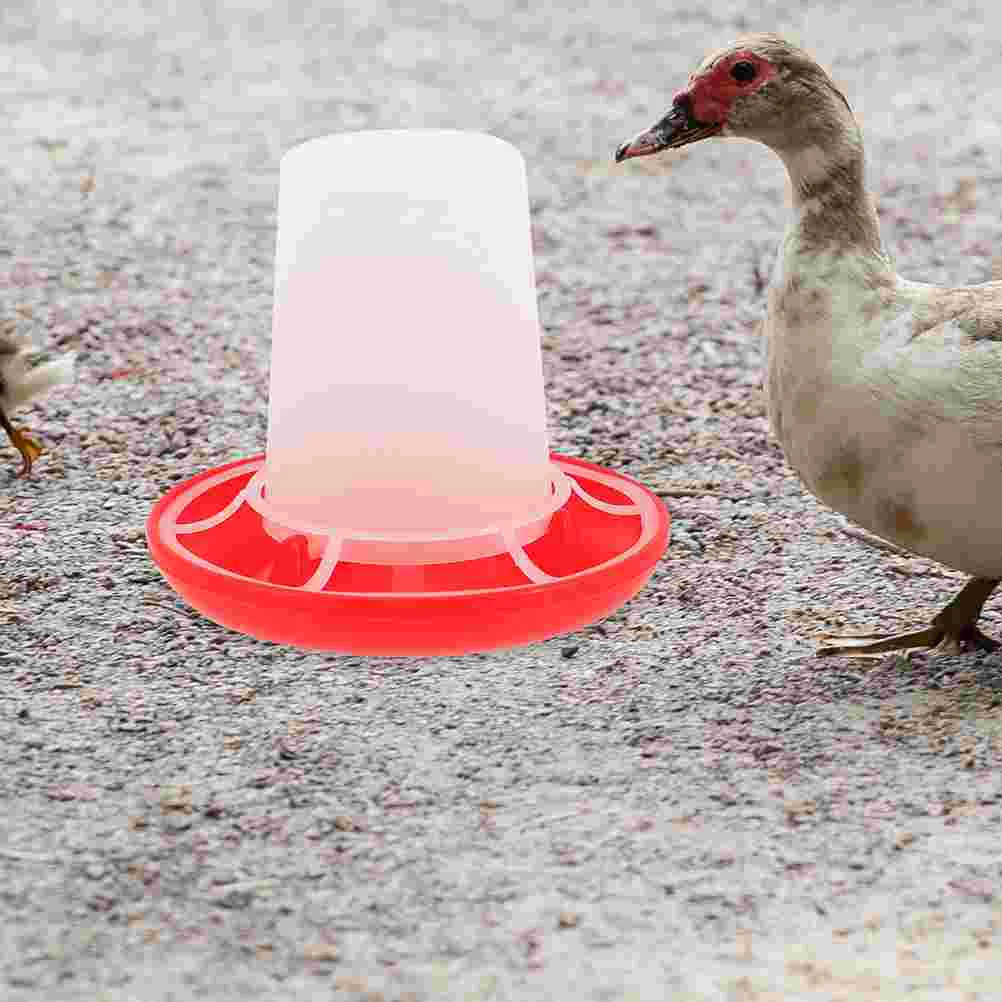 Chicky Dove Food Poultry Feeding Trough Automatic Feeder for Chicken Quail Hanging Kit Dispenser Groove Bowl Baby