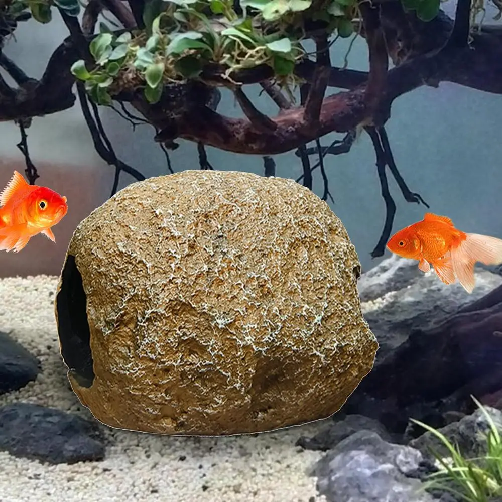 Fish Cave Interior