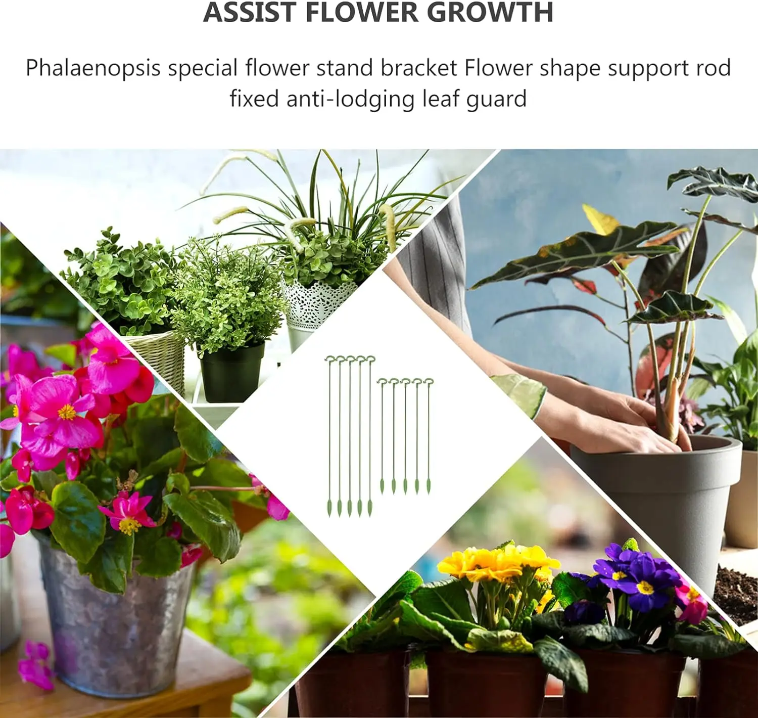 Plant Support Stick 5/10PCS Reusable Fixed Stick for Plants Stand Support Flower Vine Climbing Bracket Gardening Accsesories