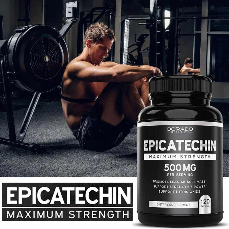 Muscle Supplement Epicatechin Capsules 500 Mg Per Serving (120 Capsules) for Lean Muscle Nitric Oxide Carnosine Inhibitors Endurance for muscle supplement