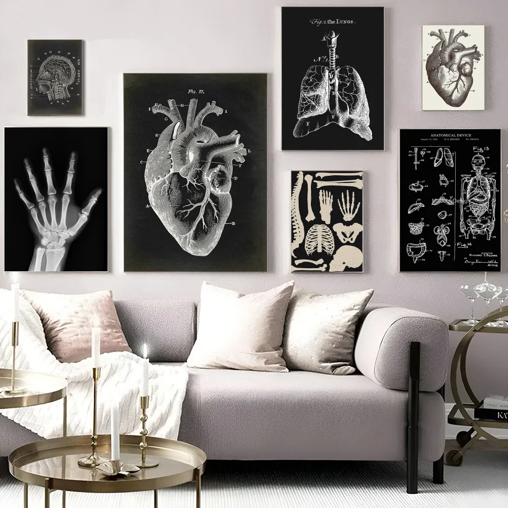 Human Anatomy Muscles System Art Whitepaper Poster HD Quality Poster ...