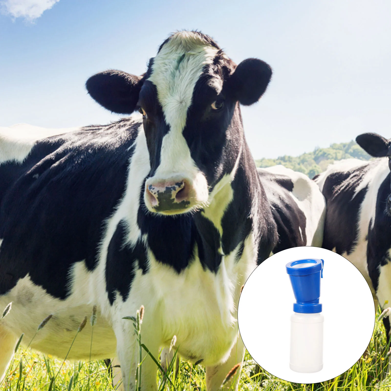 

Cleaning Cup Cow Medicated Bath Goat Non Reflow Teat Dipper Plastic Non-reflow Medicine Cups