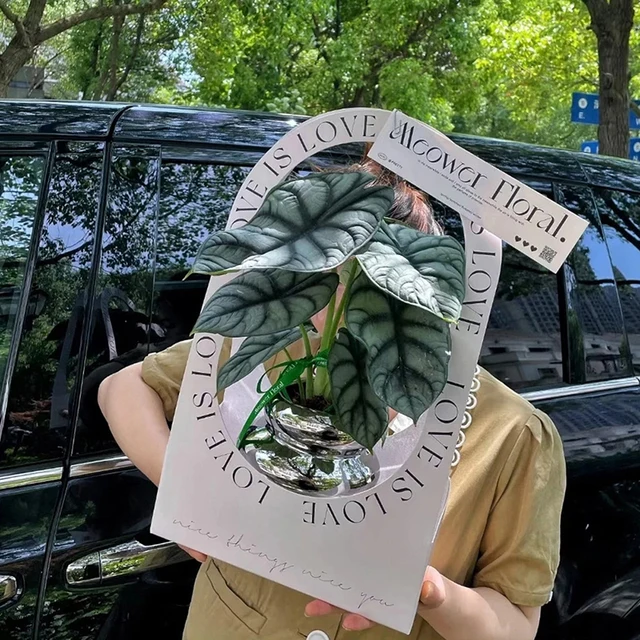 Virágok Elrendezés Kraft Papírzacskó Összecsukható Hordozható Virágcsomagoló Doboz Vízálló Virágkosár Ajándék Táska Táskák - Image 2