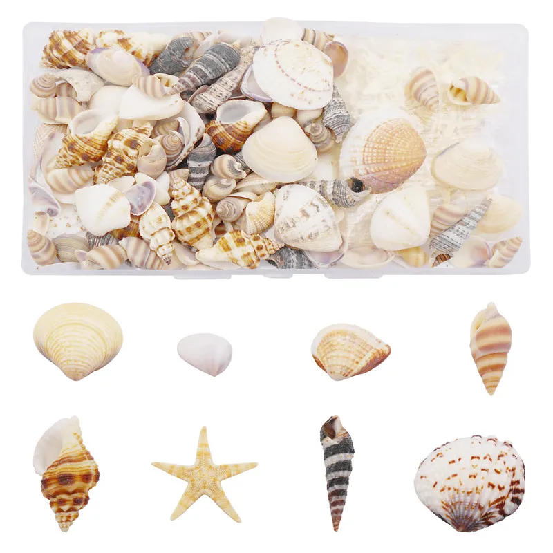 

200PCS/Box Natural Shell Conch Starfish Charms For Micro Landscape Ornament Decor DIY Jewelry Accessory