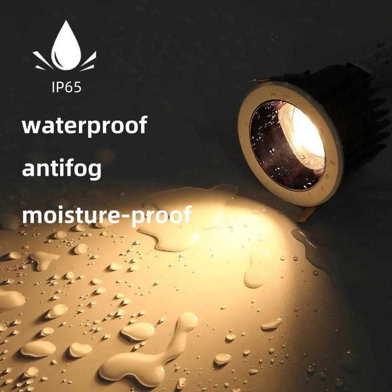 LED downlight IP65 waterproof moisture-proof fog-proof 110V 220V Kitchen bathroom bathroom eaves ceiling li led downlight ceiling lamps