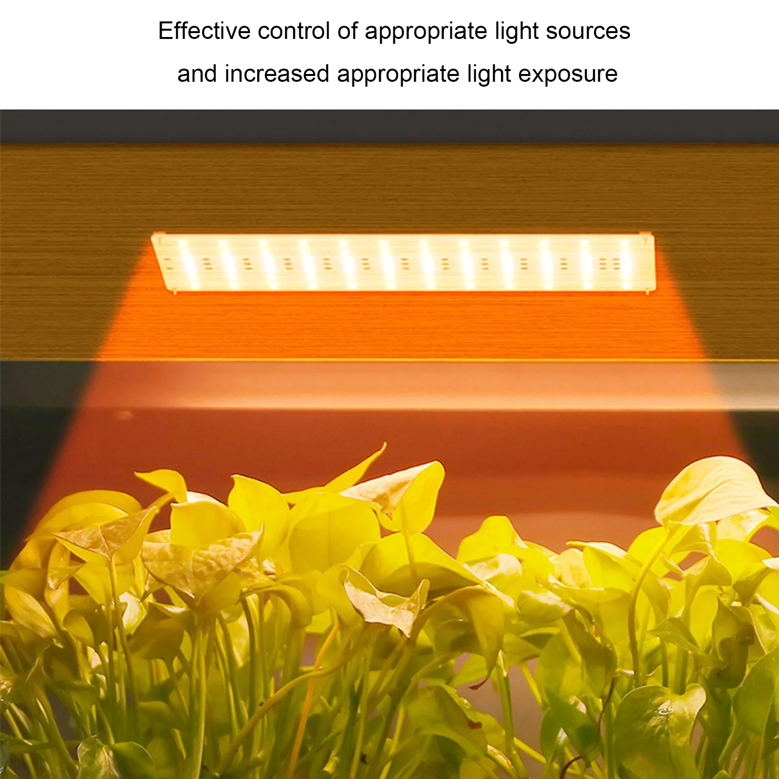 Lighting LED Grow Lights Indoor USB  Plant Fill Lights Hanging 5V Plant Lights Full Spectrum LED Plant Growth Light