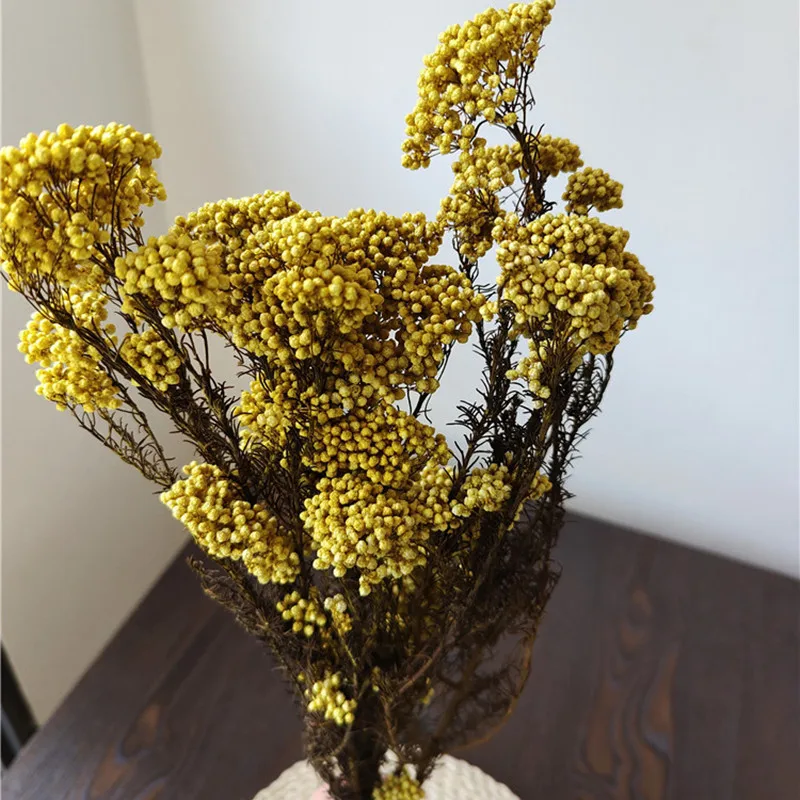 

50g Natural Millet Fruit Dried Flower Gifts For Women Christmas Decorations 2023Bridal Wedding Bouquet Pampas Grass Sunflower