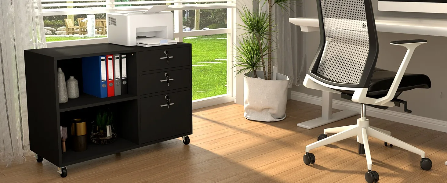 HOME OFFICE FILE CABINET