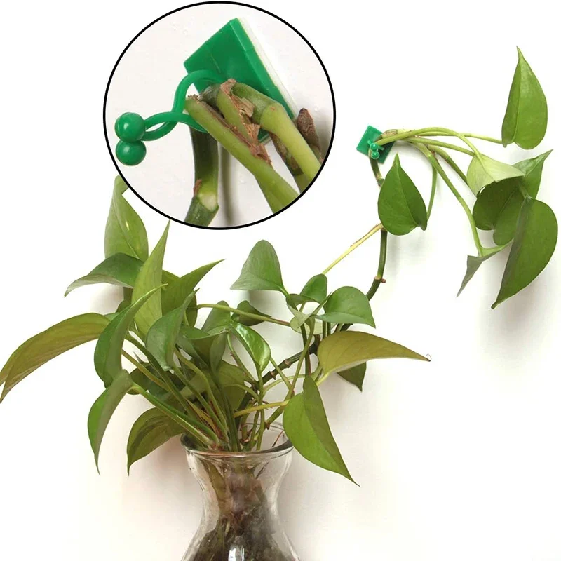 Plant Clips 10-50pcs Self-Adhesive Hook Traction Stent