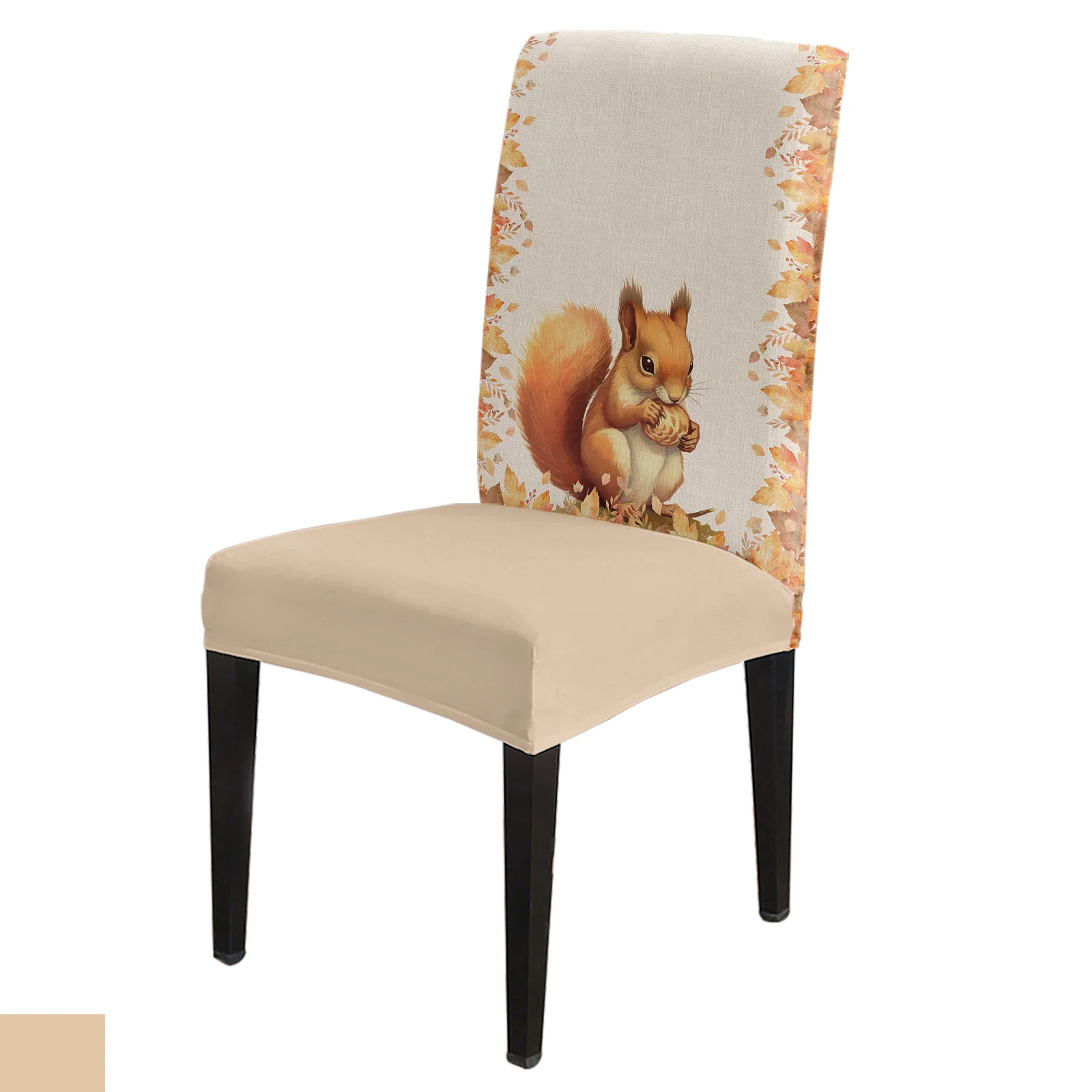 

Thanksgiving Squirrel Maple Leaf Chair Cover Set Kitchen Dining Stretch Spandex Seat Slipcover for Banquet Wedding Party